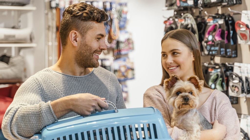 Tertarik Membuka Pet Shop Begini Cara Mengurus Perizinannya!