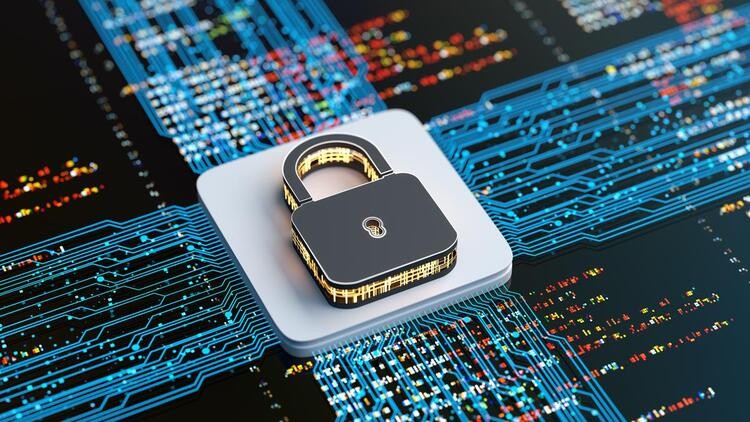 Jangan Tertukar! Pahami Perbedaan Data Privacy dan Data Security